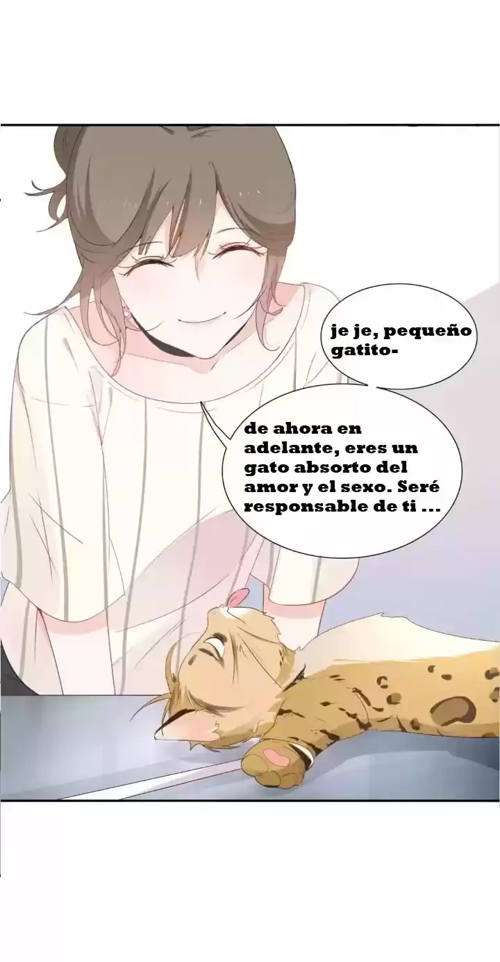 12 EVIL CATS - Capítulo 1 - Página 45 - LectorTMOo