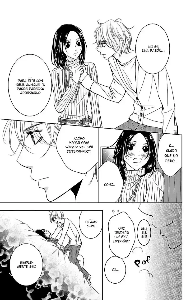 2 DOME NO KOI WA USOTSUKI - Capítulo 17 - Página 26 - LectorTMOo