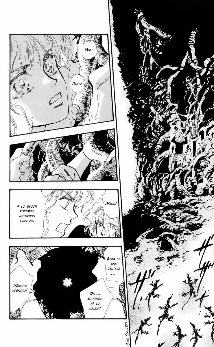 7 Seeds - Capítulo 13 - Página 24 - LectorTMOo