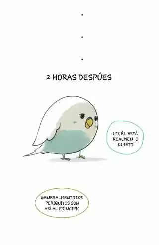 A BUDGIE'S LIFE - Capítulo 1 - Página 4 - LectorTMOo