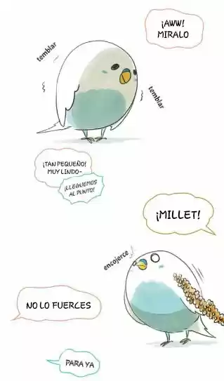 A BUDGIE'S LIFE - Capítulo 1 - Página 5 - LectorTMOo