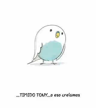 A BUDGIE'S LIFE - Capítulo 1 - Página 7 - LectorTMOo