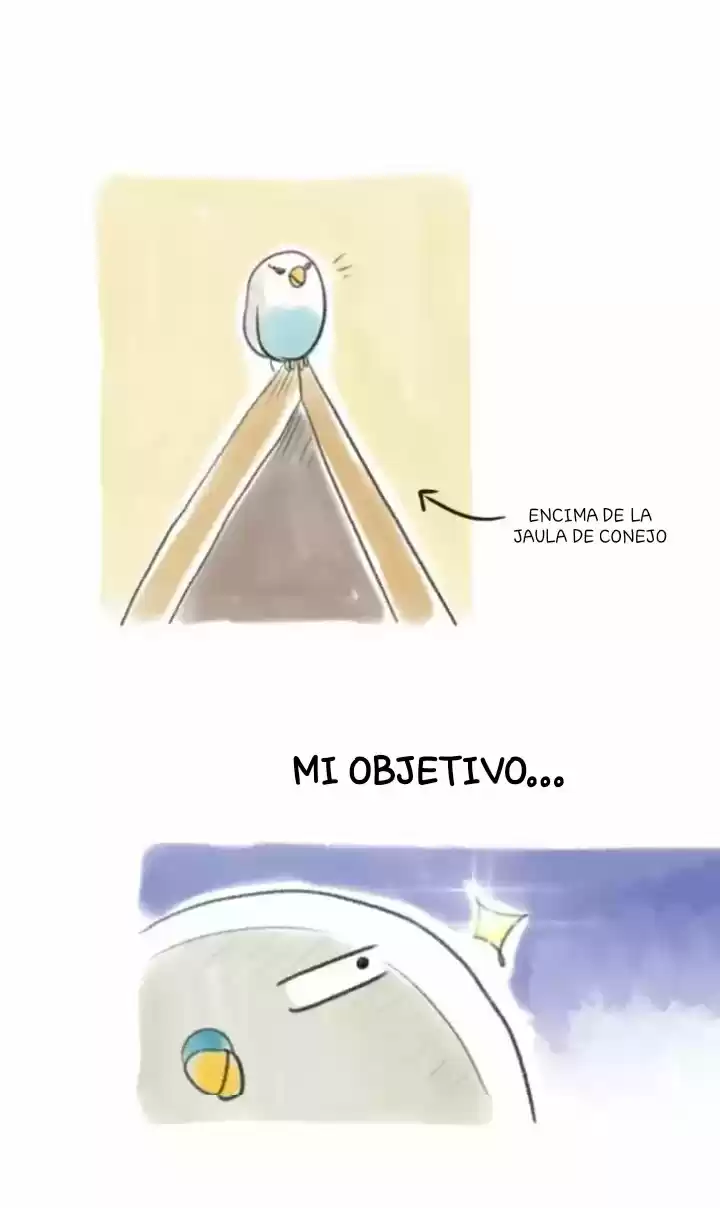 A BUDGIE'S LIFE - Capítulo 11 - Página 2 - LectorTMOo
