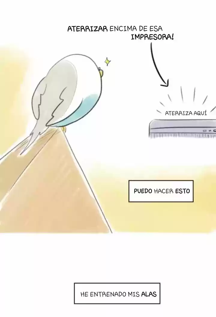 A BUDGIE'S LIFE - Capítulo 11 - Página 3 - LectorTMOo