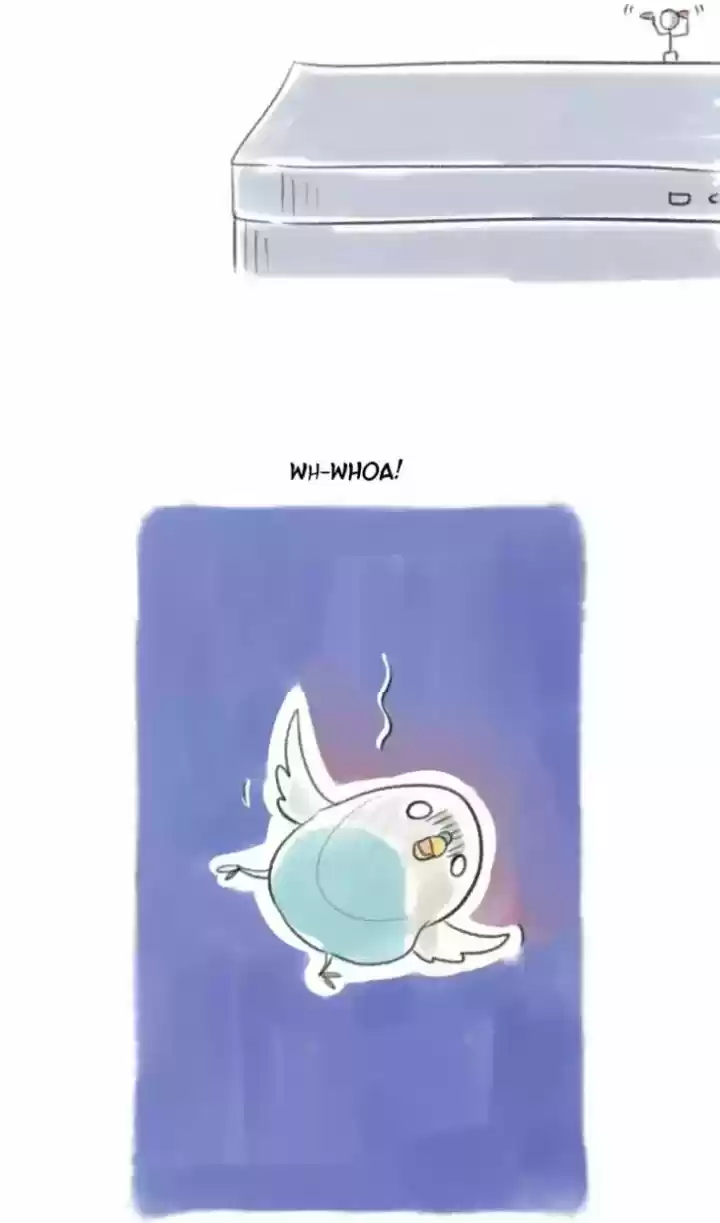 A BUDGIE'S LIFE - Capítulo 11 - Página 12 - LectorTMOo