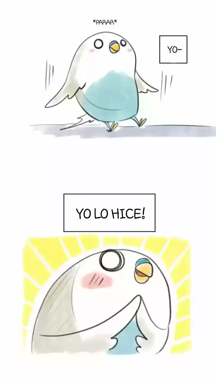 A BUDGIE'S LIFE - Capítulo 11 - Página 14 - LectorTMOo