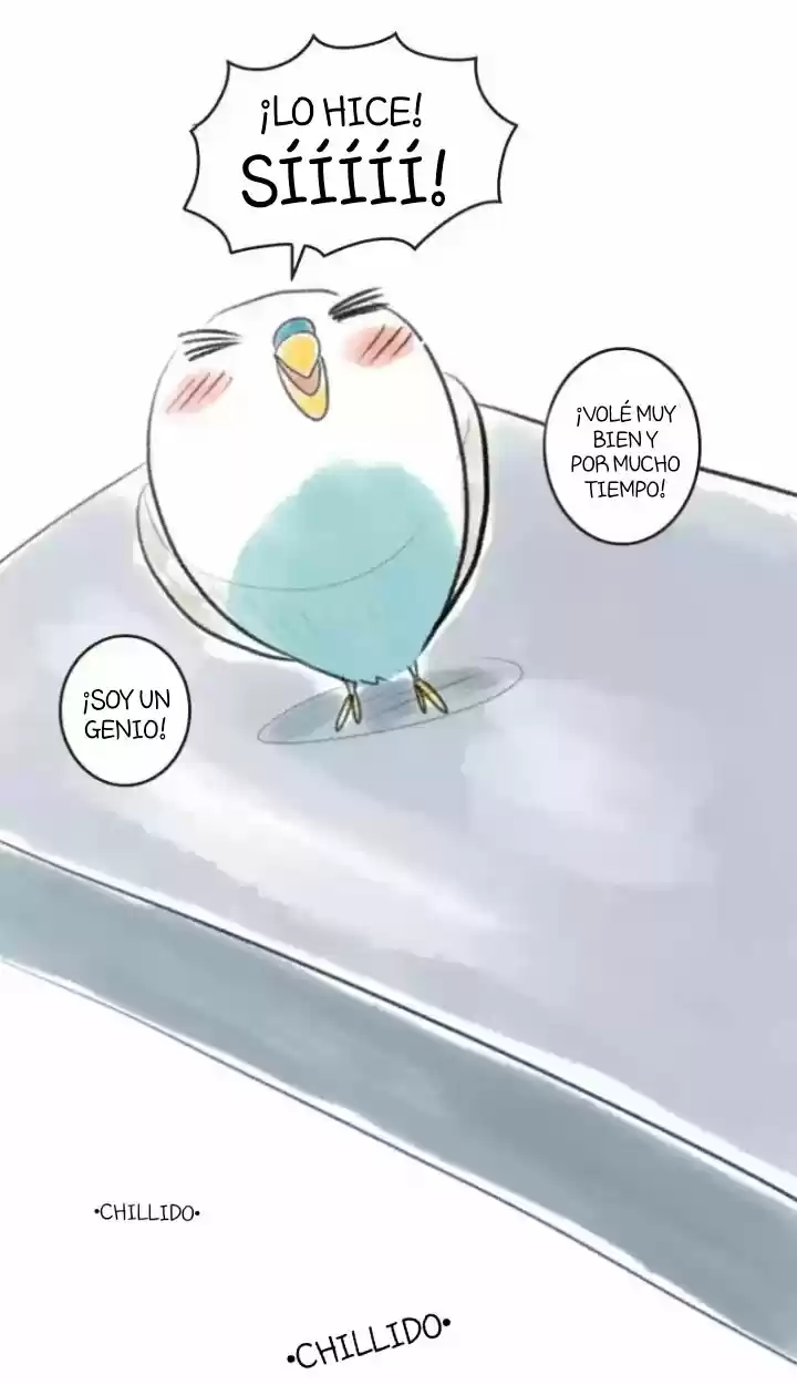 A BUDGIE'S LIFE - Capítulo 11 - Página 15 - LectorTMOo