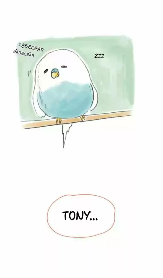 A BUDGIE'S LIFE - Capítulo 2 - Página 7 - LectorTMOo