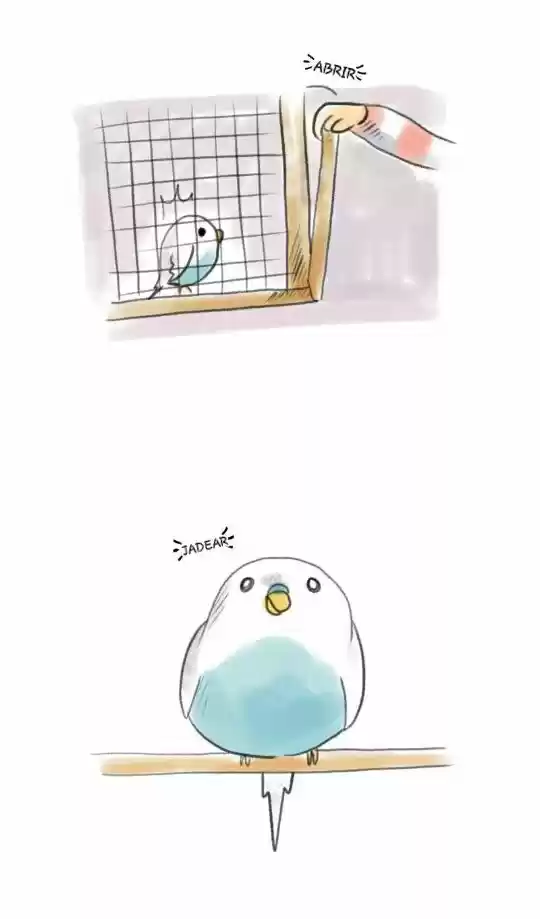 A BUDGIE'S LIFE - Capítulo 2 - Página 8 - LectorTMOo