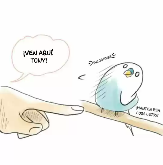A BUDGIE'S LIFE - Capítulo 3 - Página 2 - LectorTMOo