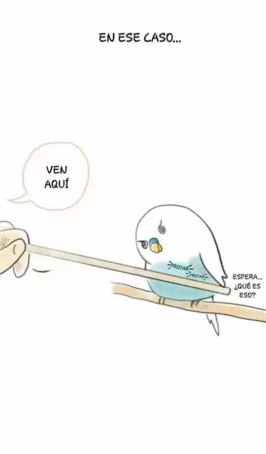A BUDGIE'S LIFE - Capítulo 3 - Página 4 - LectorTMOo
