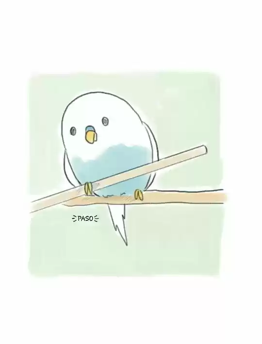 A BUDGIE'S LIFE - Capítulo 3 - Página 5 - LectorTMOo