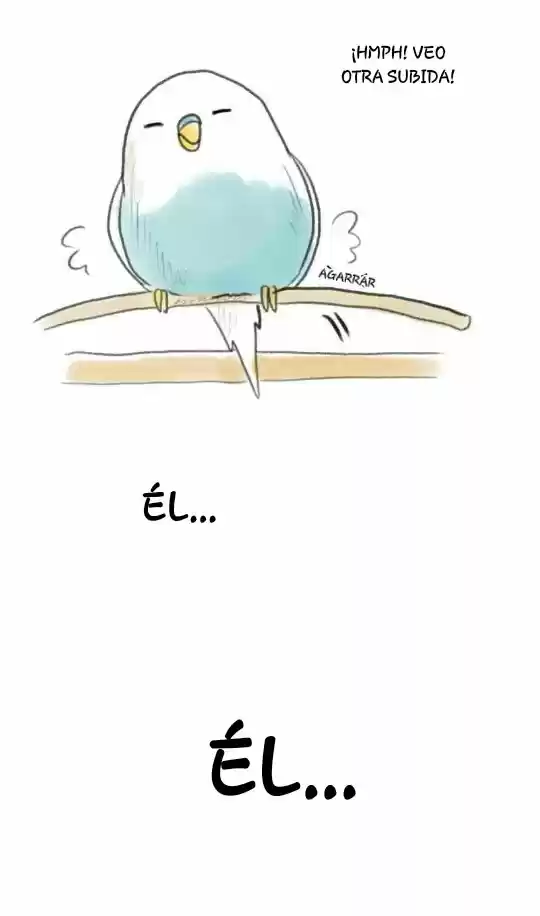 A BUDGIE'S LIFE - Capítulo 3 - Página 6 - LectorTMOo