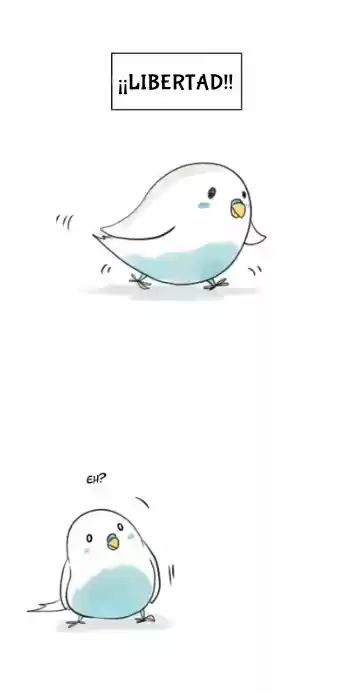 A BUDGIE'S LIFE - Capítulo 4 - Página 2 - LectorTMOo