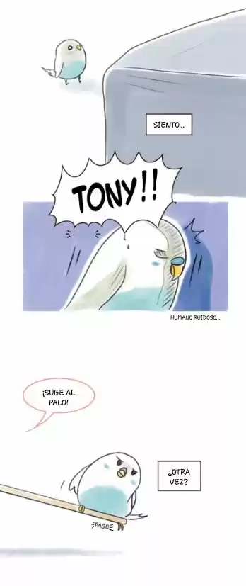 A BUDGIE'S LIFE - Capítulo 4 - Página 4 - LectorTMOo