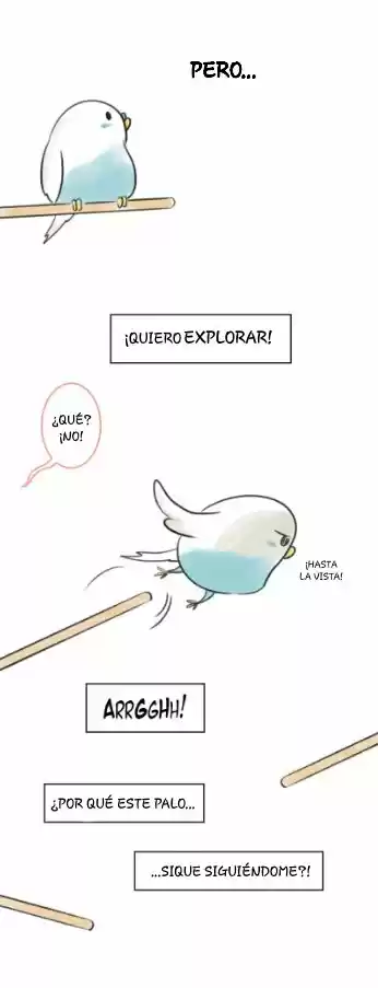 A BUDGIE'S LIFE - Capítulo 4 - Página 5 - LectorTMOo
