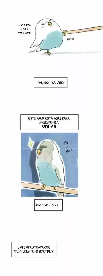 A BUDGIE'S LIFE - Capítulo 4 - Página 6 - LectorTMOo