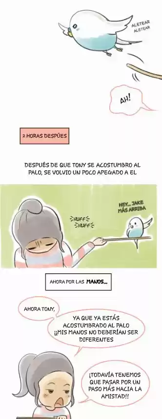 A BUDGIE'S LIFE - Capítulo 4 - Página 7 - LectorTMOo