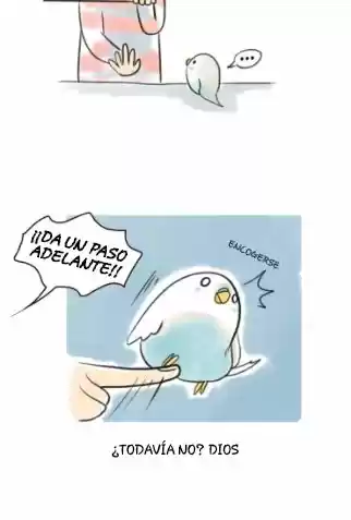 A BUDGIE'S LIFE - Capítulo 4 - Página 8 - LectorTMOo