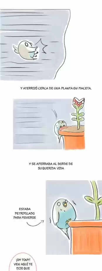 A BUDGIE'S LIFE - Capítulo 4 - Página 11 - LectorTMOo