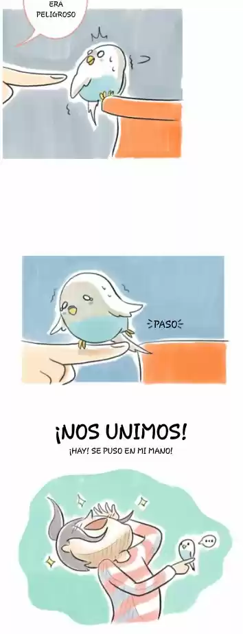 A BUDGIE'S LIFE - Capítulo 4 - Página 12 - LectorTMOo
