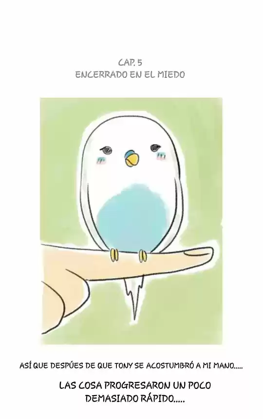 A BUDGIE'S LIFE - Capítulo 5 - Página 1 - LectorTMOo
