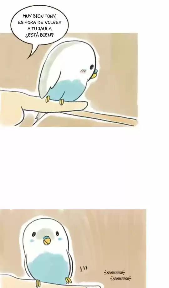 A BUDGIE'S LIFE - Capítulo 5 - Página 2 - LectorTMOo