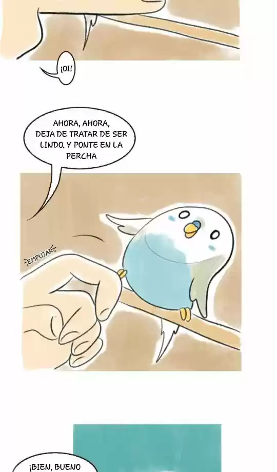 A BUDGIE'S LIFE - Capítulo 5 - Página 3 - LectorTMOo