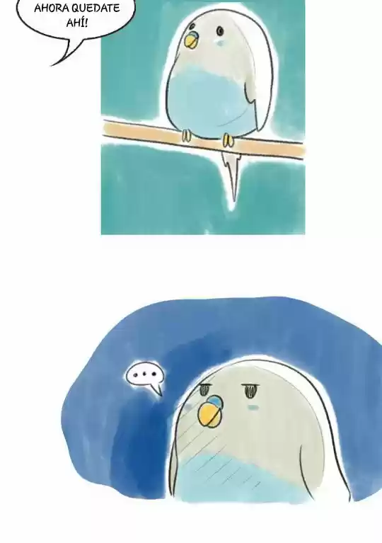 A BUDGIE'S LIFE - Capítulo 5 - Página 4 - LectorTMOo