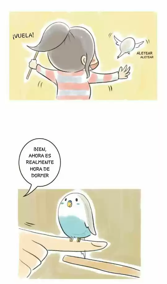 A BUDGIE'S LIFE - Capítulo 5 - Página 7 - LectorTMOo
