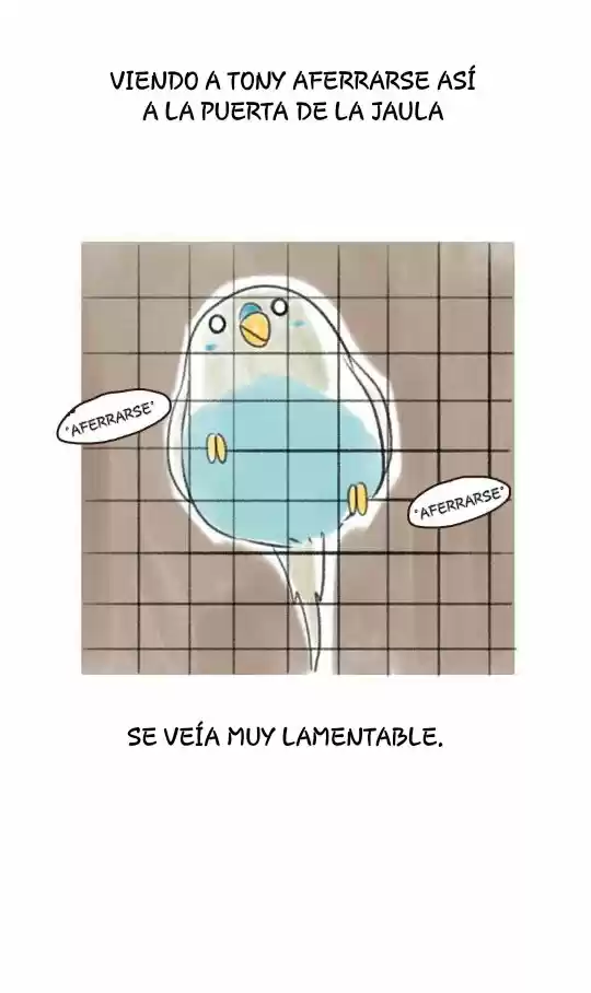 A BUDGIE'S LIFE - Capítulo 5 - Página 10 - LectorTMOo