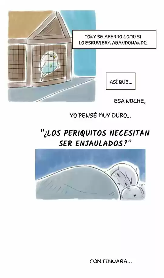 A BUDGIE'S LIFE - Capítulo 5 - Página 11 - LectorTMOo