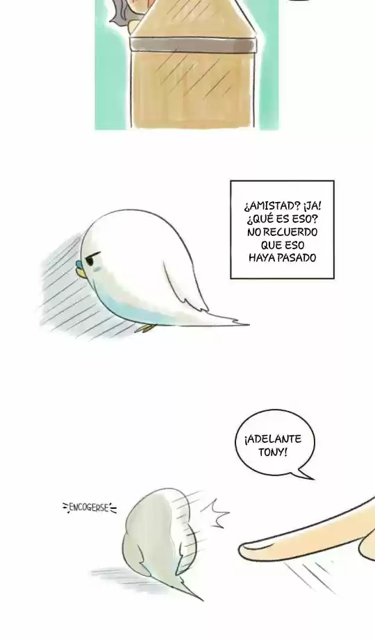 A BUDGIE'S LIFE - Capítulo 6 - Página 4 - LectorTMOo