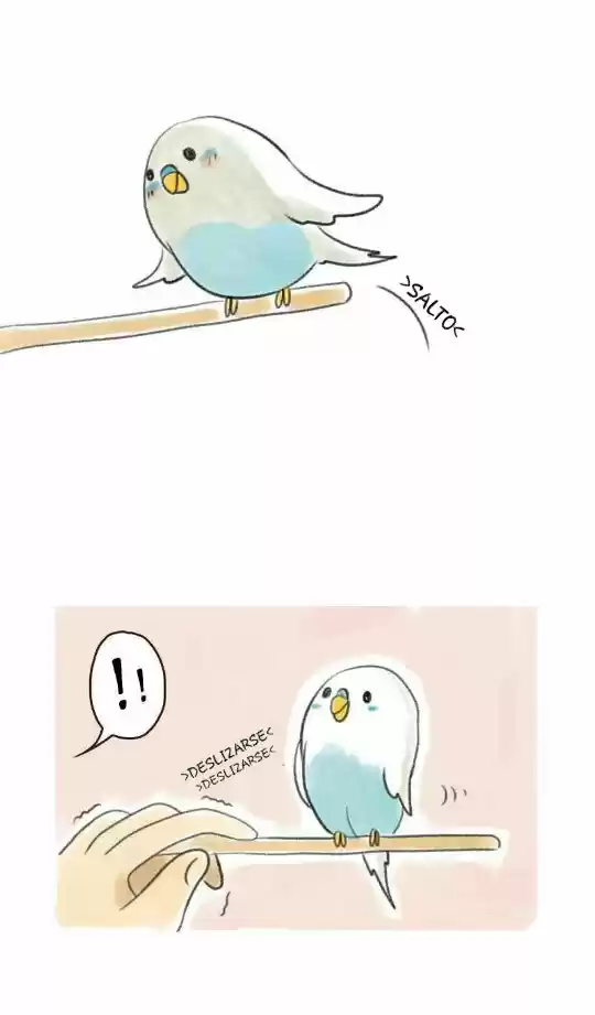 A BUDGIE'S LIFE - Capítulo 6 - Página 8 - LectorTMOo