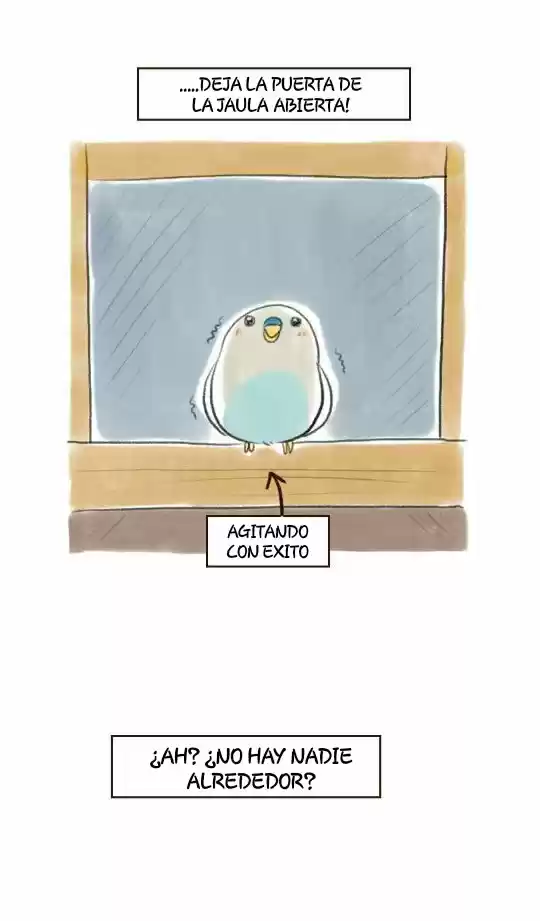 A BUDGIE'S LIFE - Capítulo 7 - Página 3 - LectorTMOo