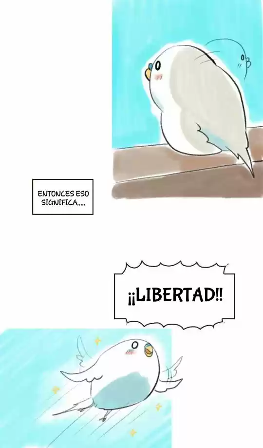 A BUDGIE'S LIFE - Capítulo 7 - Página 4 - LectorTMOo