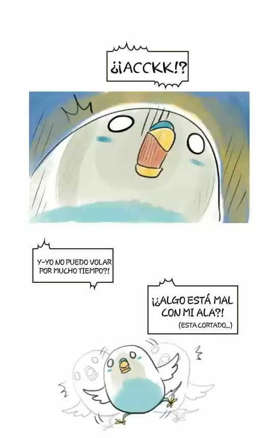A BUDGIE'S LIFE - Capítulo 7 - Página 6 - LectorTMOo
