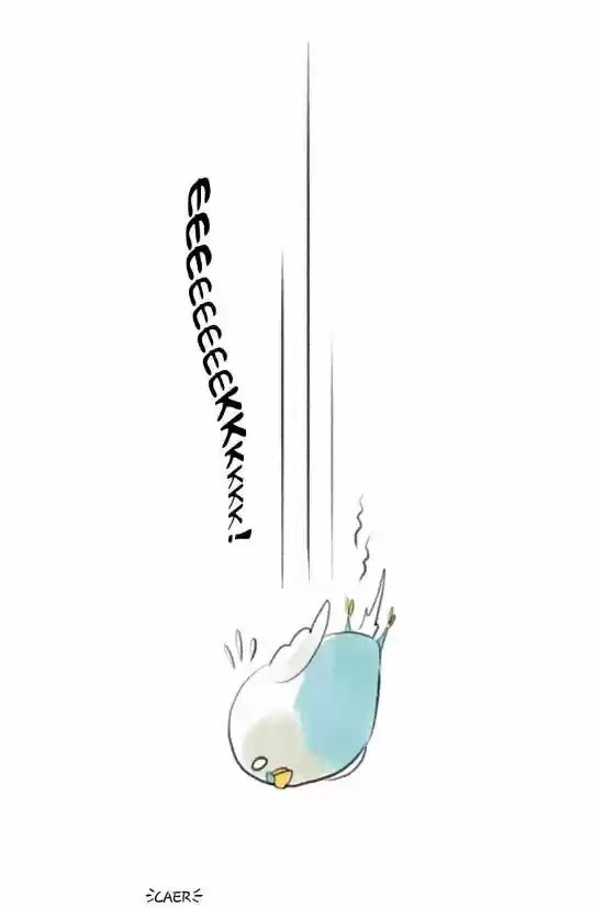 A BUDGIE'S LIFE - Capítulo 7 - Página 7 - LectorTMOo