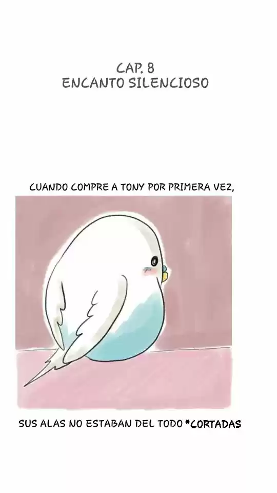 A BUDGIE'S LIFE - Capítulo 8 - Página 1 - LectorTMOo