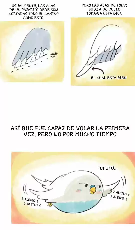 A BUDGIE'S LIFE - Capítulo 8 - Página 2 - LectorTMOo