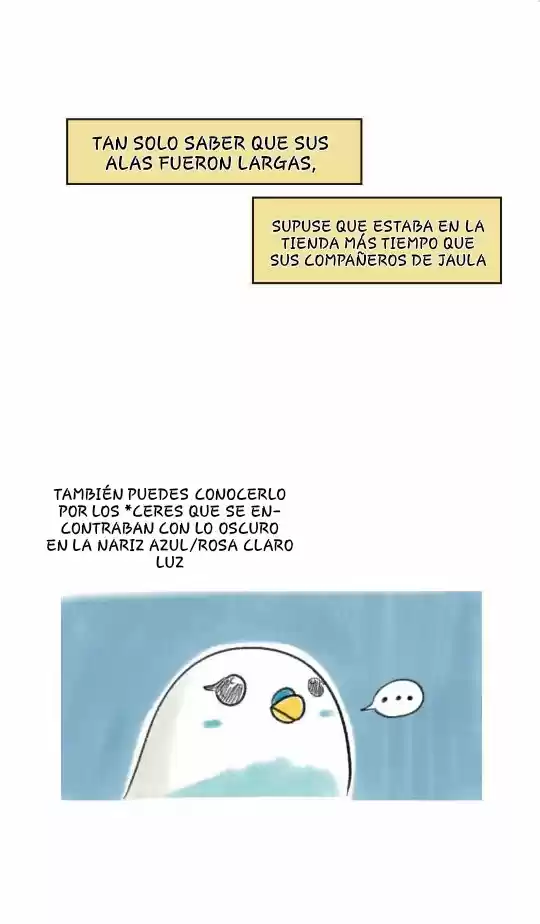 A BUDGIE'S LIFE - Capítulo 8 - Página 3 - LectorTMOo