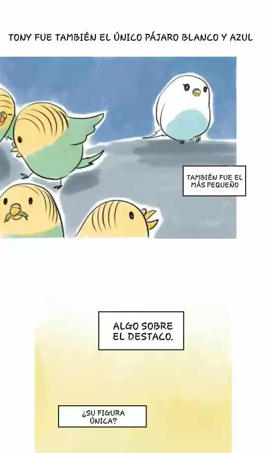 A BUDGIE'S LIFE - Capítulo 8 - Página 4 - LectorTMOo