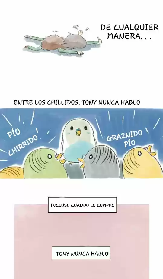 A BUDGIE'S LIFE - Capítulo 8 - Página 7 - LectorTMOo
