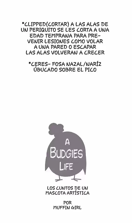 A BUDGIE'S LIFE - Capítulo 8 - Página 11 - LectorTMOo