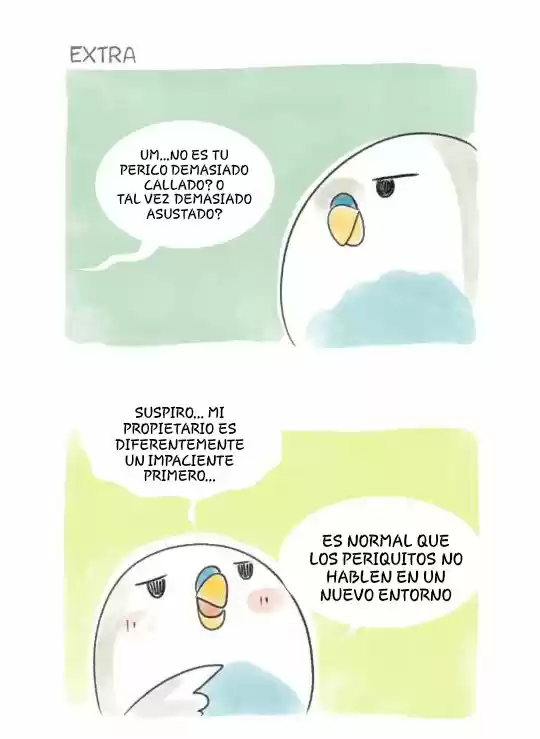 A BUDGIE'S LIFE - Capítulo 8 - Página 12 - LectorTMOo