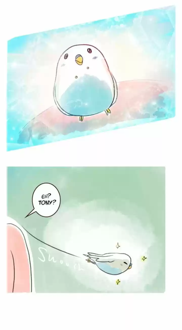 A BUDGIE'S LIFE - Capítulo 9 - Página 4 - LectorTMOo