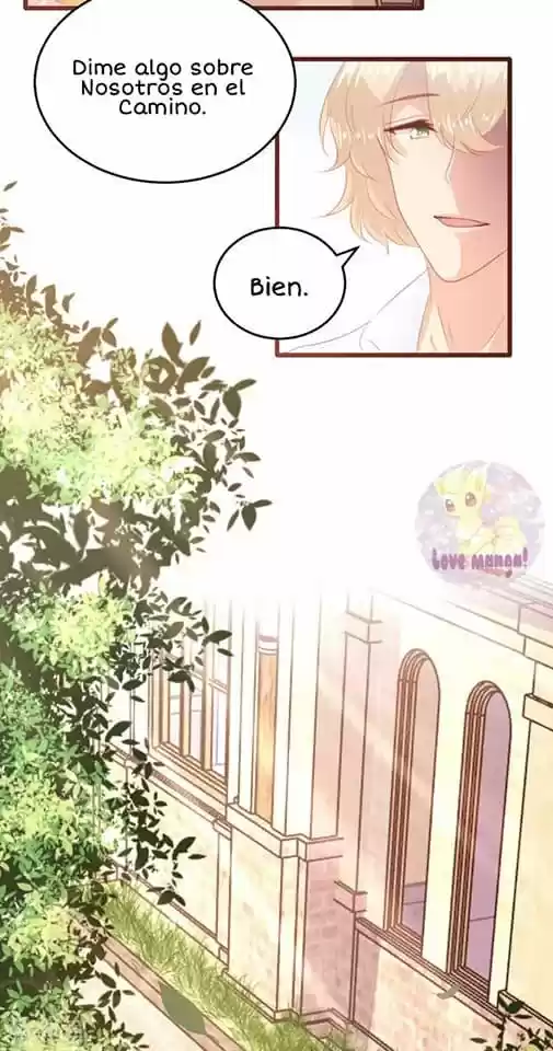A Contract Of Feelingless CEO - Capítulo 146 - Página 12 - LectorTMOo