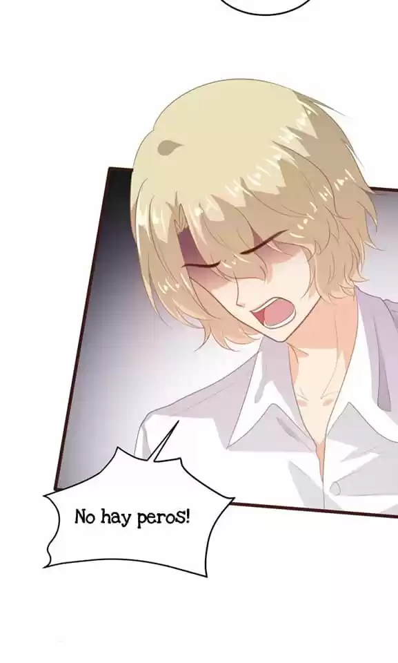 A Contract Of Feelingless CEO - Capítulo 150 - Página 49 - LectorTMOo