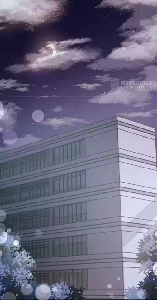 A Contract Of Feelingless CEO - Capítulo 60 - Página 6 - LectorTMOo
