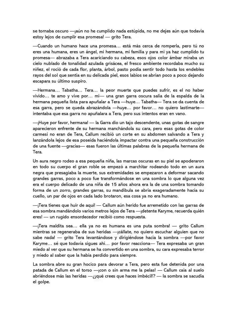 A La Luz De La Sombra (Novela) - Capítulo 14 - Página 4 - LectorTMOo